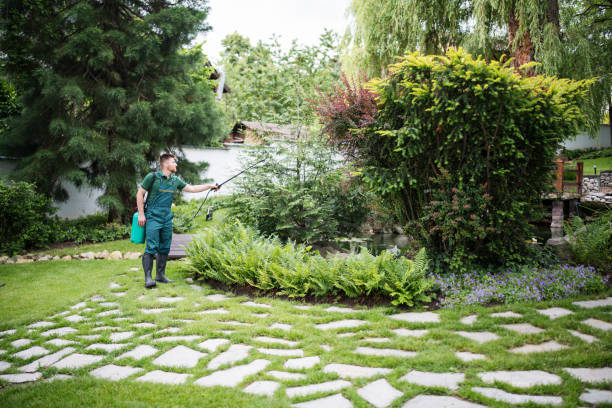 Best Pest Inspection Near Me  in Rm Beach, WA
