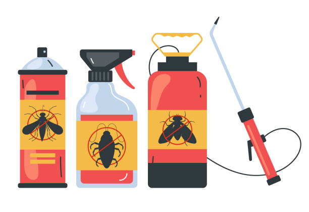 Trusted Warm Beach, WA Pest Control Experts