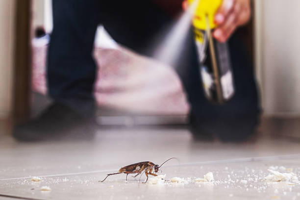 Best Cockroach Control Services  in Rm Beach, WA